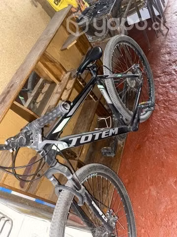 bici totem
