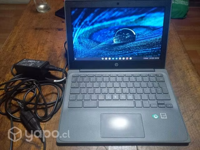 Chromebook HP / A11