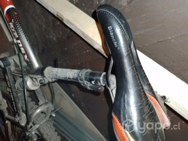 bicicleta bianchi