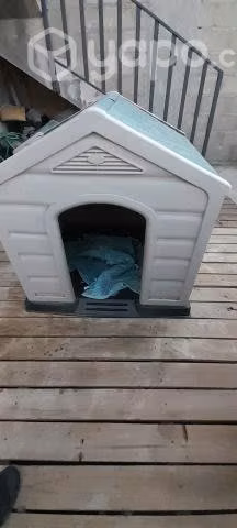 Casa para perros