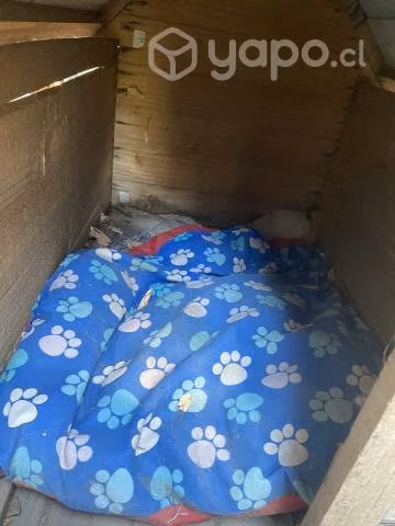 Casa perrito - Imagen 3