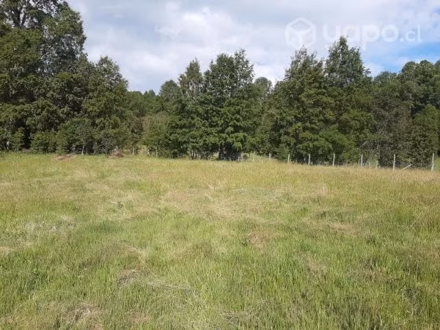 Parcela de 7700m2