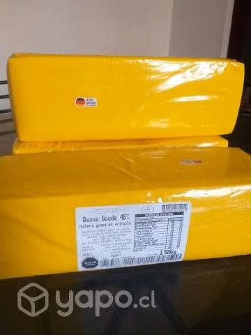 Queso gauda