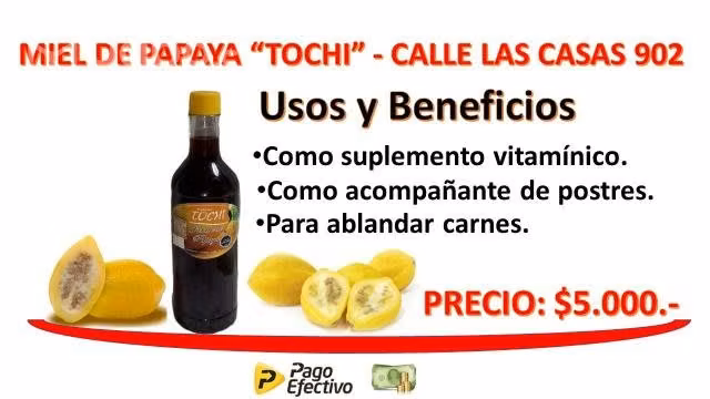 Miel & jarabe de papaya tochi