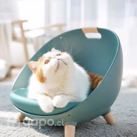 Cama Gatos Multifuncional 4 en 1 Verde IZ