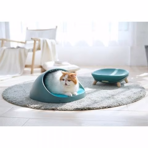 Cama Gatos Multifuncional 4 en 1 Verde IZ