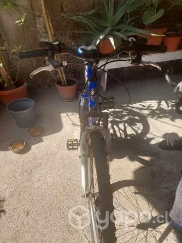 Bicicleta y scooter