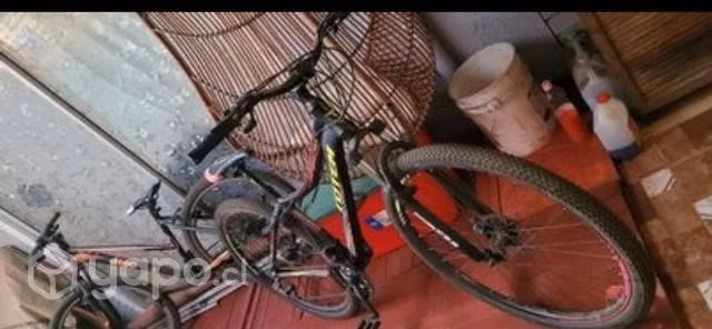 Bicicleta