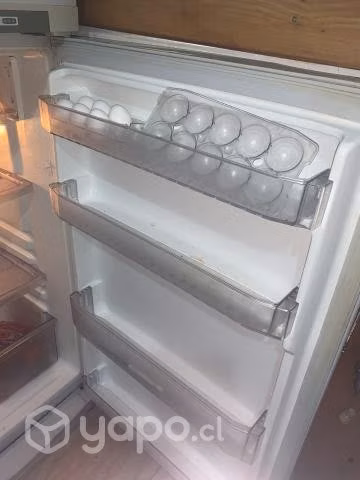 Nevera económica