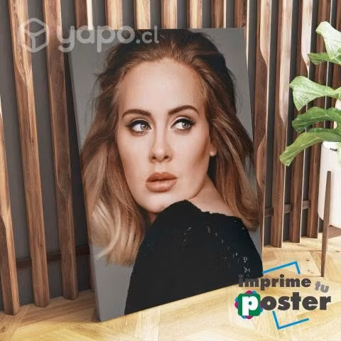 CUADRO DE ADELE 40x55cm tela canvas llegar y colga