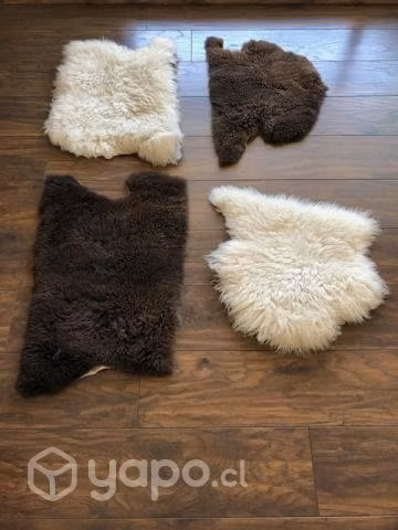 Pieles de oveja como cojines