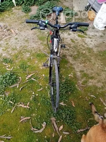 Bicicleta Mtb urbana jamis alegro - Imagen 2