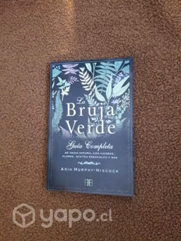 Libro La bruja verde