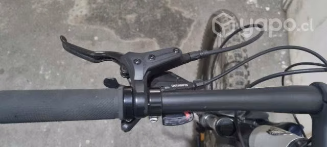 Bianchi Peregrine SX aro29