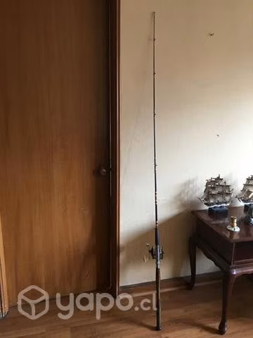 Caña de pescar con carrete