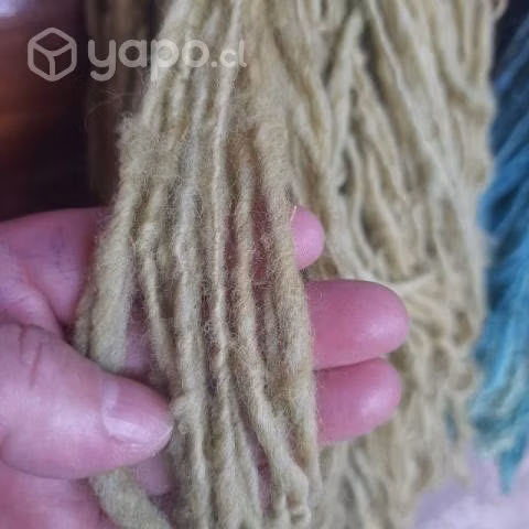 Hermosas lanas 100% ovejas