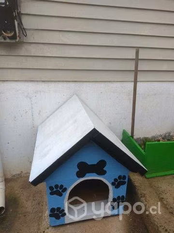 Hermosa casita perro