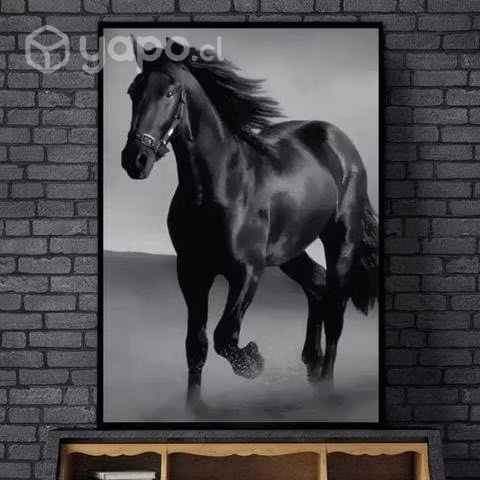 Cuadro Decorativo Caballo