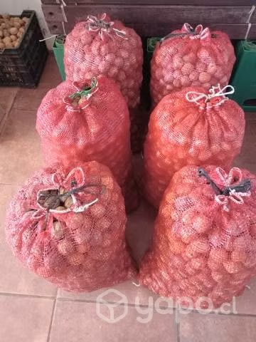ciruelas secas con carozo y nueces