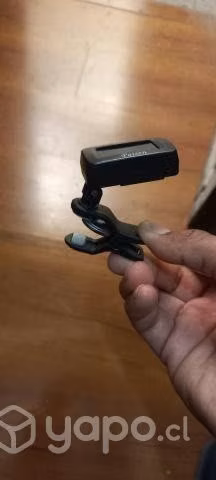 Ukelele Accacia