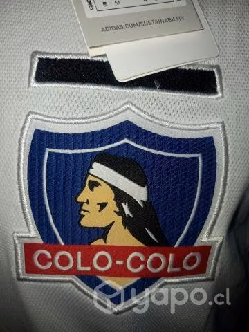 Colo colo 2022