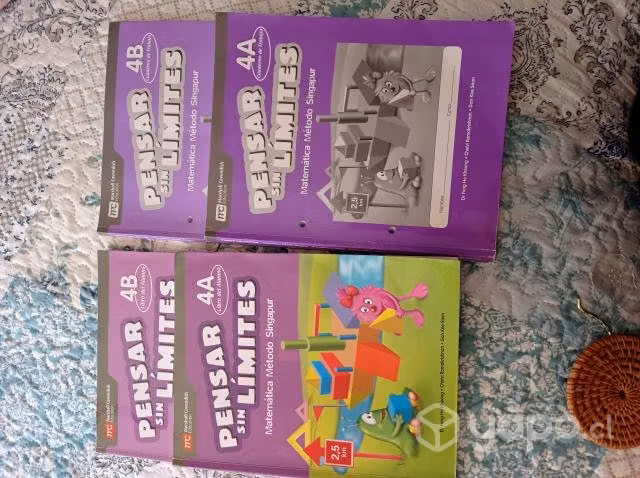 Pensar sin límites 4