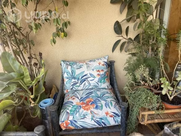 Juego se terraza