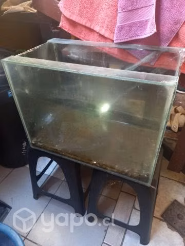 Acuario