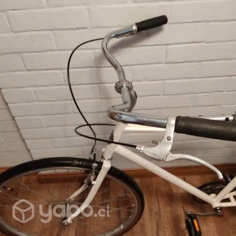 Bicicleta de paseo