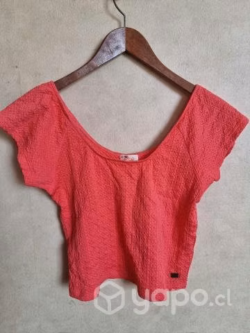 Variedad poleras