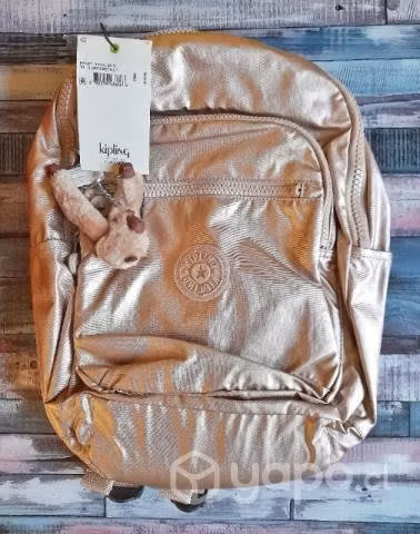 Mochilas y bolso