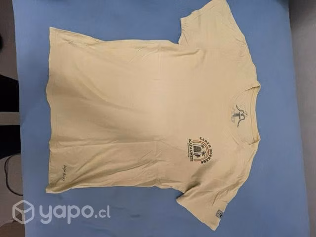 Poleras de marca