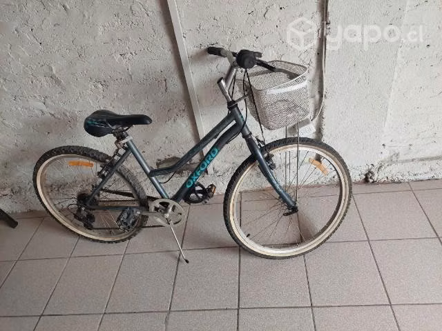 Bicicleta mujer