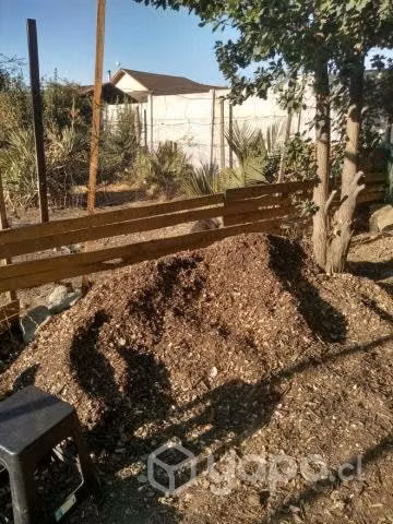 Tierra de hoja, litre,quillay - Imagen 2
