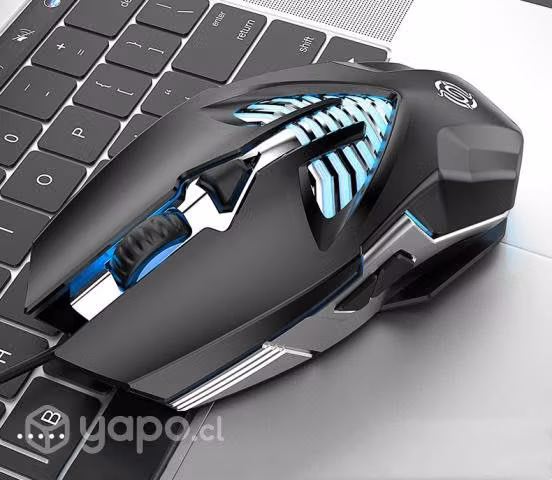 Mouse gamer