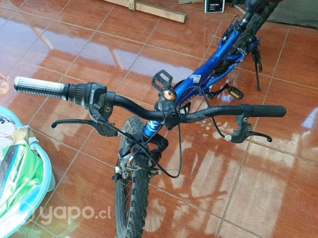 Bicicleta