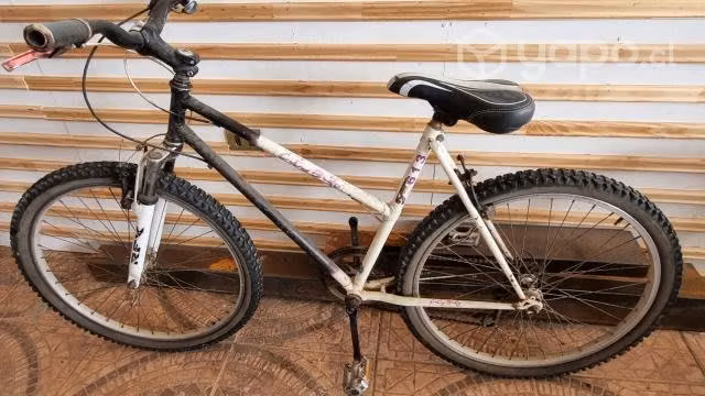 bicicleta de dama