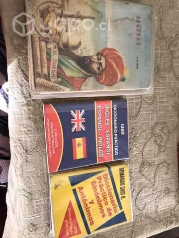 Diccionario