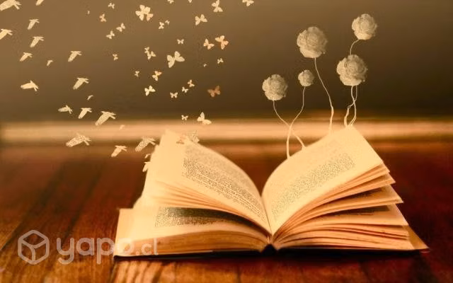 Se realizan clases particulares ,entre otras cosas