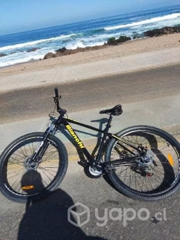 Bicicleta Bianchi Aro 29