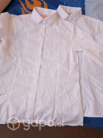 Blusas de colegio