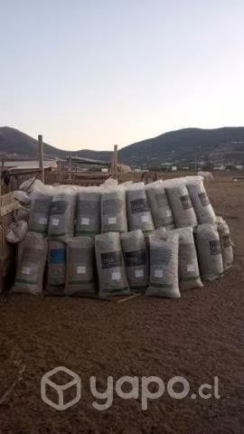Guano de cabra