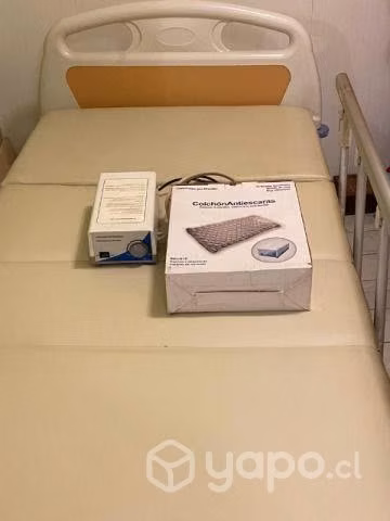 cama clinica
