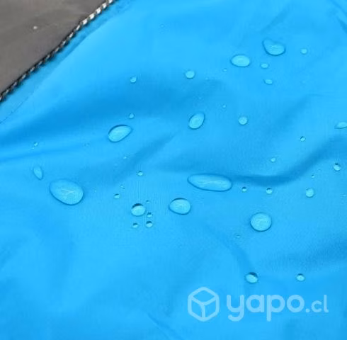 Ropa de invierno para perro
