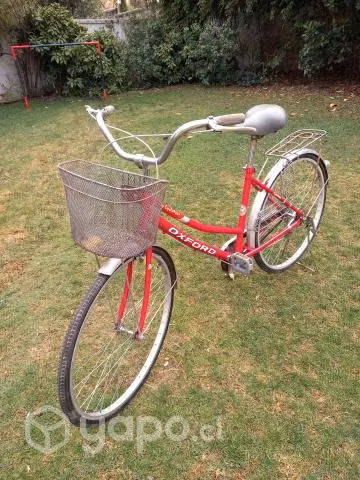 Bicicleta de paseo con canasto oxford