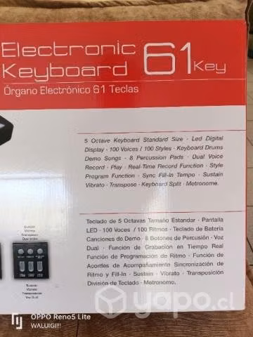 Órgano Electrónico 61 Teclas