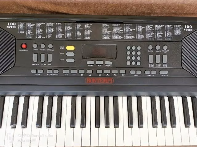 Órgano Electrónico 61 Teclas