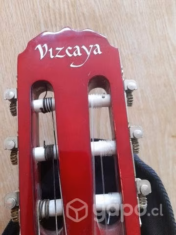 Hermosa guitarra Viscaya