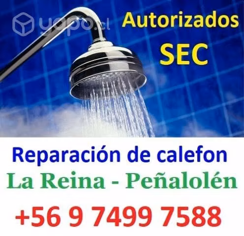 Reparación de calefont ionizados (pilas)