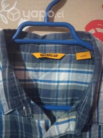 camisa cat - Imagen 2